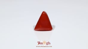 Red Coral - 7.05 Carat