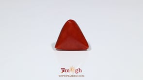 Red Coral - 7.95 Carat