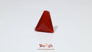 Red Coral - 7.8 Carat