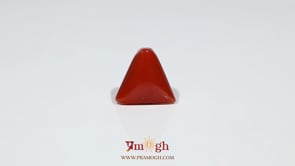 Red Coral - 6.3 Carat