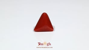 Red Coral - 7 Carat