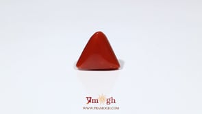 Red Coral - 6.1 Carat