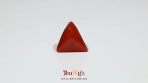 Red Coral - 6.45 Carat
