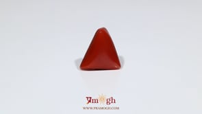 Red Coral - 6.3 Carat