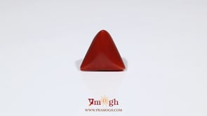 Red Coral - 7 Carat