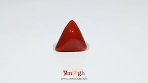 Red Coral - 7.2 Carat