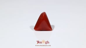 Red Coral - 7.45 Carat