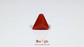 Red Coral - 5.9 Carat