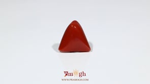 Red Coral - 6.75 Carat