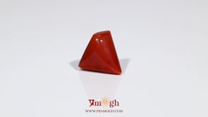 Red Coral - 8.1 Carat