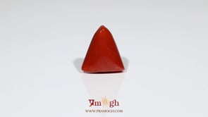 Red Coral - 8.55 Carat