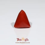 Red Coral - 8.55 Carat