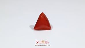 Red Coral - 6.45 Carat