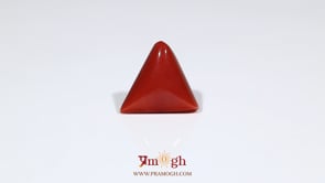 Red Coral - 8.3 Carat