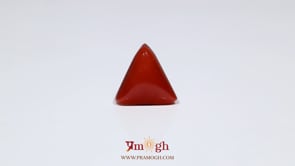 Red Coral - 6.6 Carat
