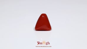 Red Coral - 6 Carat