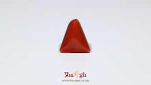 Red Coral - 7.95 Carat