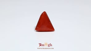 Red Coral - 6.8 Carat
