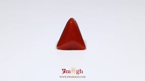 Red Coral - 6.7 Carat