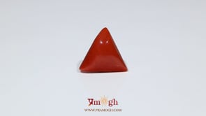 Red Coral - 6.15 Carat