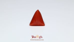 Red Coral - 6.85 Carat
