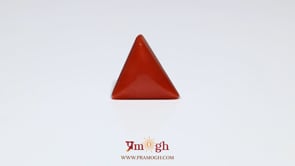 Red Coral - 6.5 Carat