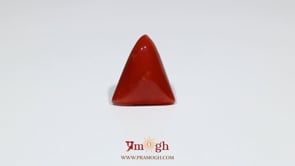 Red Coral - 7.55 Carat