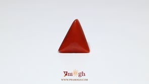 Red Coral - 6.15 Carat