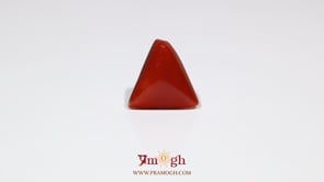 Red Coral - 6.85 Carat