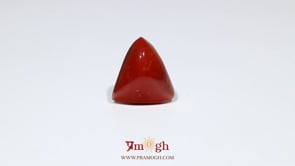 Red Coral - 8.4 Carat