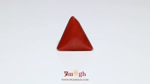 Red Coral - 8.25 Carat