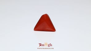 Red Coral - 7.7 Carat