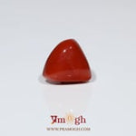 Red Coral - 7.35 Carat