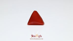 Red Coral - 6.55 Carat