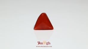 Red Coral - 7.4 Carat