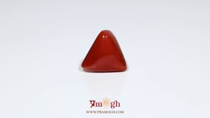 Red Coral - 7.2 Carat