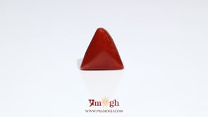 Red Coral - 6 Carat