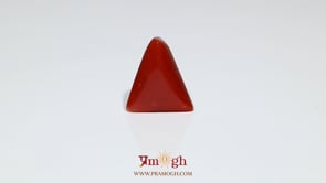 Red Coral - 6.1 Carat