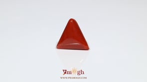 Red Coral - 6.7 Carat