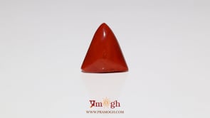Red Coral - 8.1 Carat