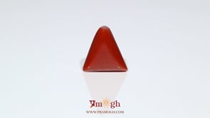 Red Coral - 7.45 Carat