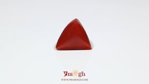 Red Coral - 7.85 Carat