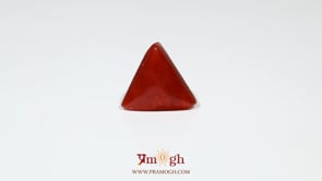 Red Coral - 6.05 Carat
