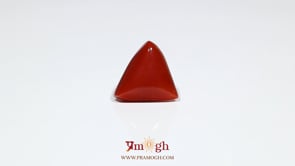 Red Coral - 7.7 Carat