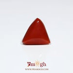 Red Coral - 7.7 Carat