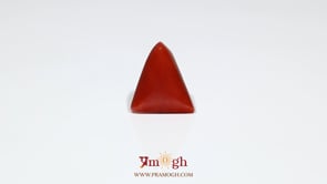 Red Coral - 6.5 Carat