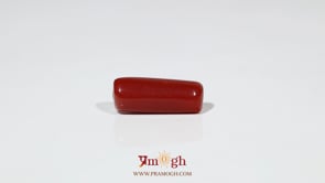 Red Coral - 6.65 Carat