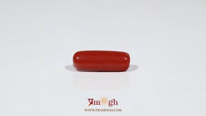 Red Coral - 5.4 Carat