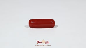 Red Coral - 7.2 Carat