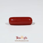 Red Coral - 7.2 Carat
